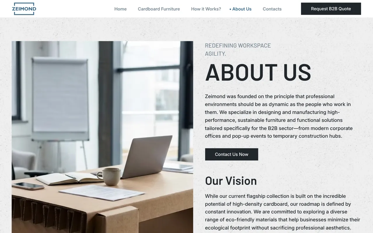 zeimond.eu: About Us (screenshot of the live site)
