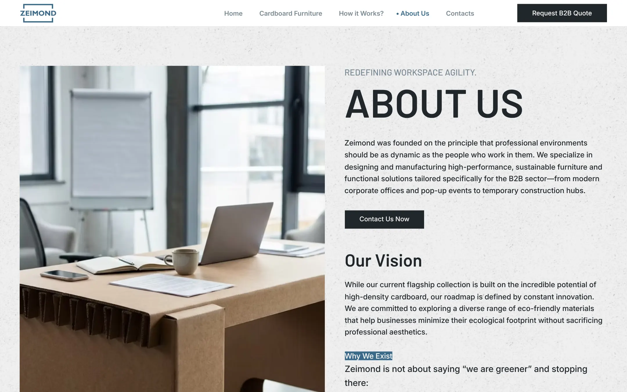 zeimond.eu: About Us